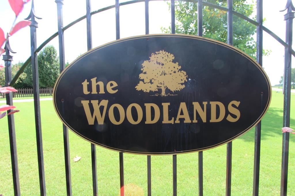 The Woodlands